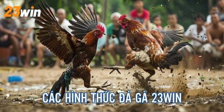 23Win-Đá Gà