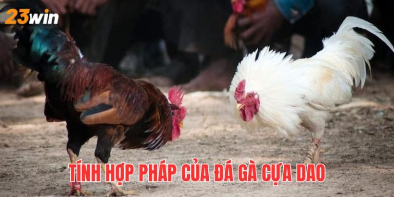 23win-Đá Gà Cựa Dao